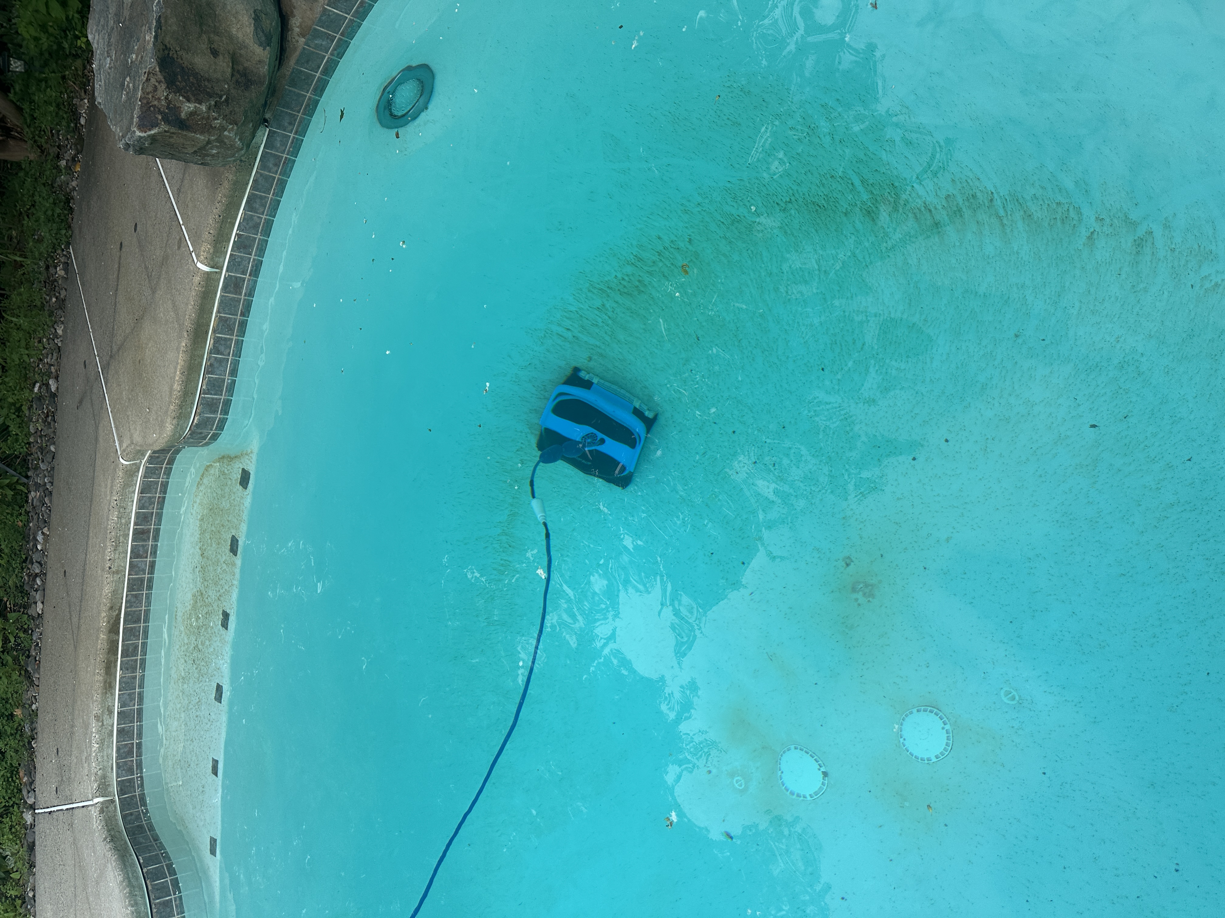 Dolphin robot cleaning the pool floor